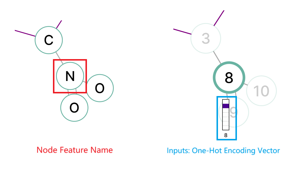 Node Features